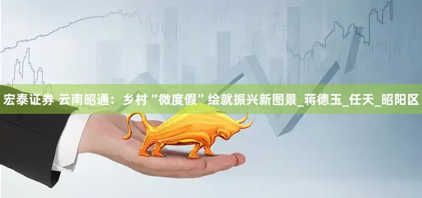 宏泰证券 云南昭通：乡村“微度假”绘就振兴新图景_蒋德玉_任天_昭阳区